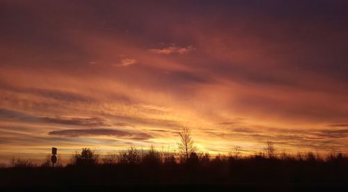 Silhouette trees against sky at sunset