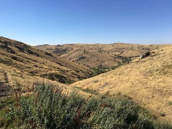 Scenic view of landscape against clear sky