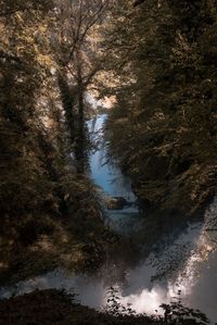 Reflection of trees in river against sky