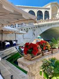 Potted plants by bridge against building