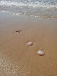 Sand on beach against sky