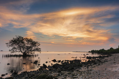 Scenic view of sea against sky during sunset