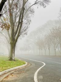 Road amidst bare trees against sky