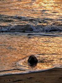 Waves splashing on shore