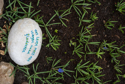 High angle view of text on grass