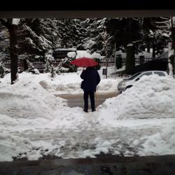 Person standing on snow covered landscape