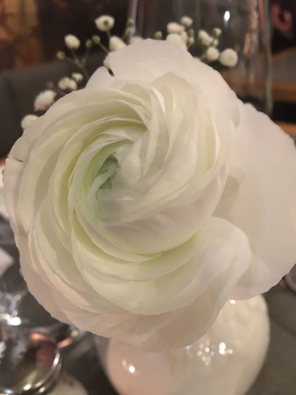 CLOSE-UP OF WHITE ROSES