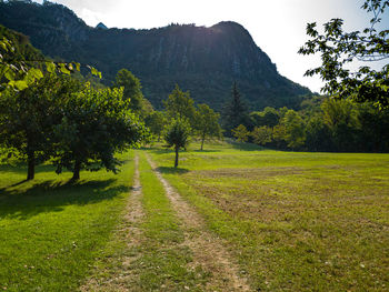 Dirt road amidst trees and mountains against sky