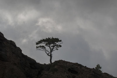 Low angle view of trees against cloudy sky