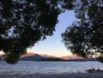 Silhouette tree by lake against sky during sunset