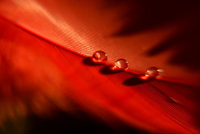 Full frame shot of red table