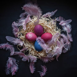 High angle view of easter eggs on textile with feather