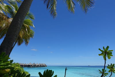 Scenic view of sea against clear blue sky