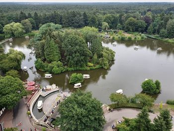 High angle view of trees by lake