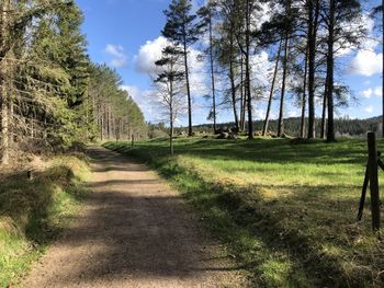 Footpath amidst trees on field against sky