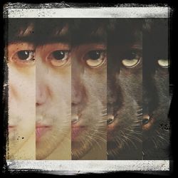 Close-up of weathered wall