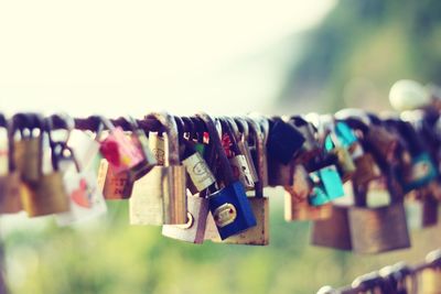 Close-up of padlocks hanging on metal