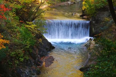 Scenic view of waterfall in forest