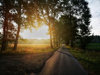 Road amidst trees against sky