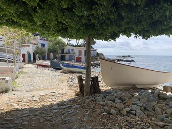 Scenic view of sea against trees