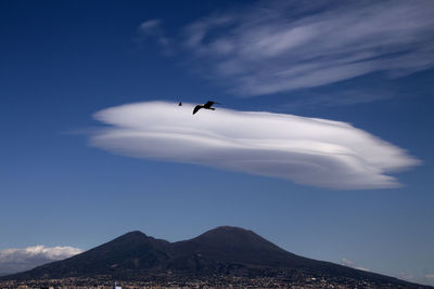 Low angle view of airplane flying in sky