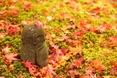 Autumn leaves fallen on stone in garden