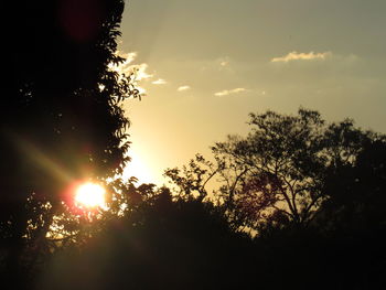 Low angle view of silhouette trees against sky during sunset