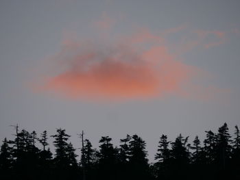 Low angle view of silhouette trees against sky at sunset