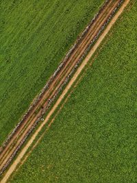 High angle view of agricultural field