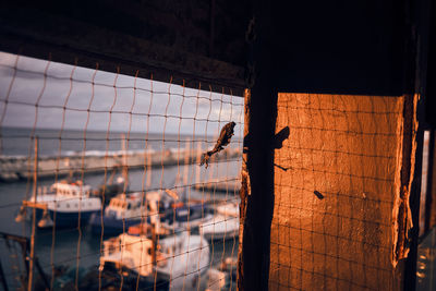 High angle view of of a sea port through a barred window with the light of the sunset 