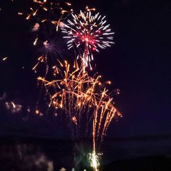 Low angle view of firework display at night