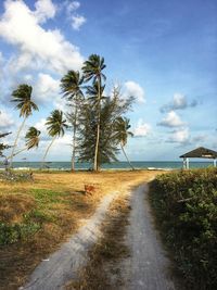 Grassland and trees that grow well near the beach, sea and beautiful sky.