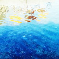 Reflection of trees in water