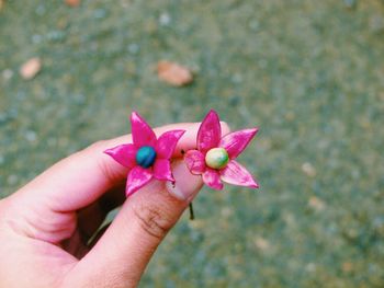 Cropped hand holding pink flower