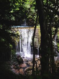 Scenic view of waterfall in forest