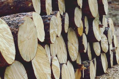 Full frame shot of logs in forest