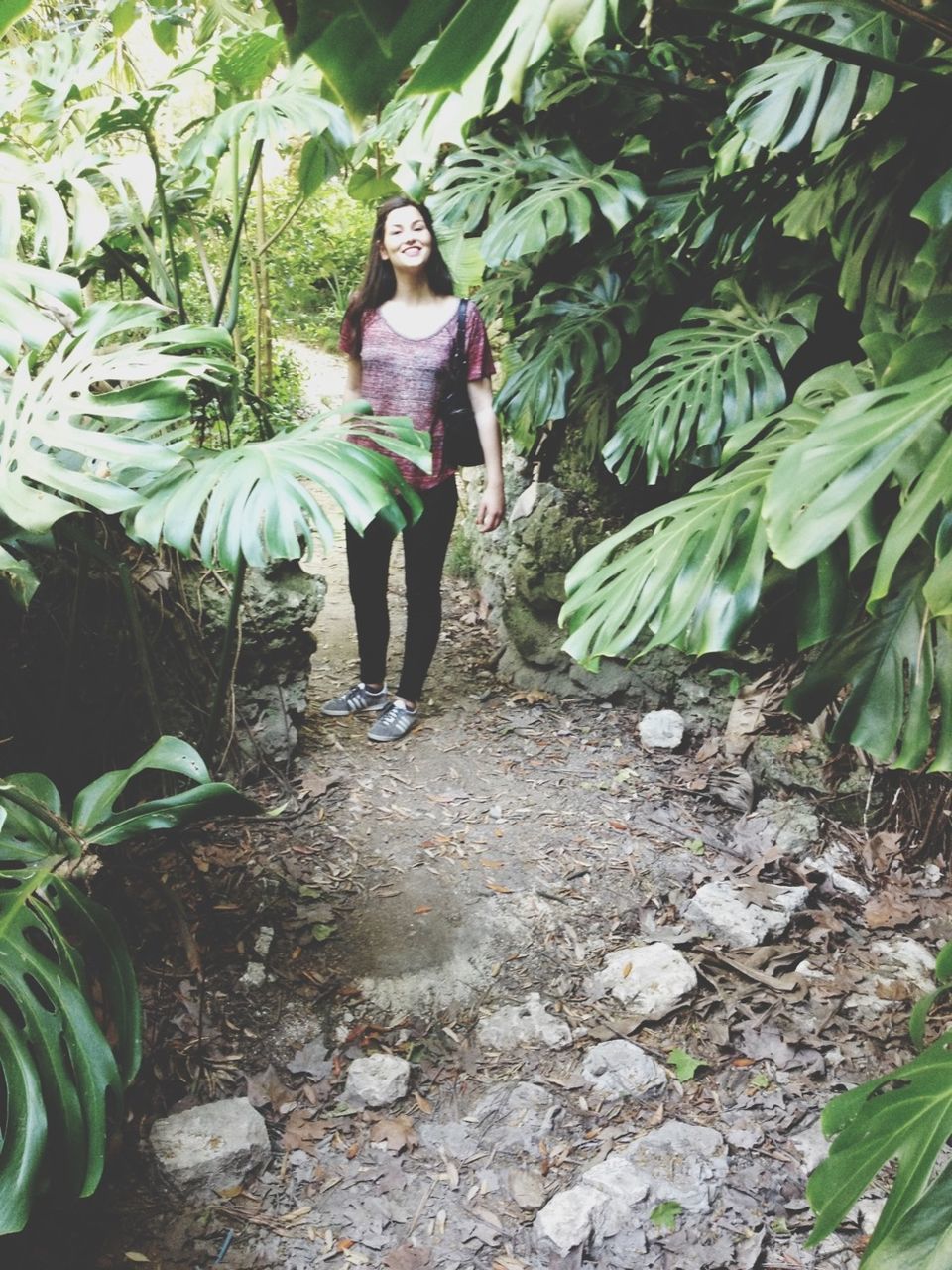 lifestyles, leisure activity, casual clothing, full length, young adult, person, standing, young women, looking at camera, plant, portrait, tree, leaf, rock - object, growth, front view, green color, nature