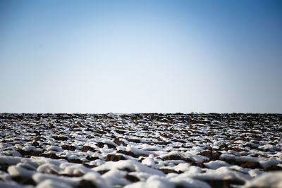 Surface level of beach against clear sky