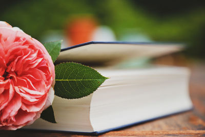 Close-up of rose bouquet on table