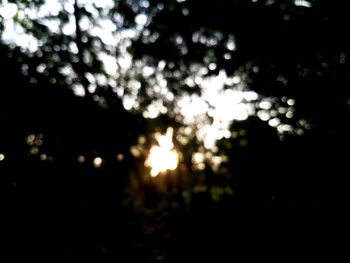 Defocused image of trees against sky during sunset