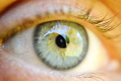 Extreme close-up of woman eye