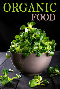 Close-up of vegetables on table