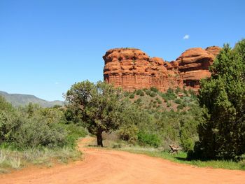 View of trees on landscape against blue sky