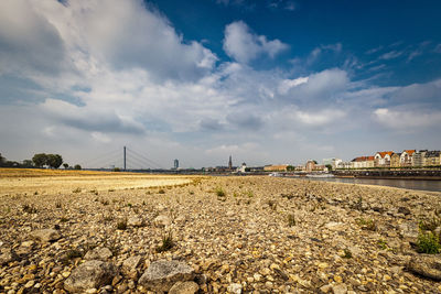 Series of low rhine level in düsseldorf 8.2022 with rhine tower and bridge