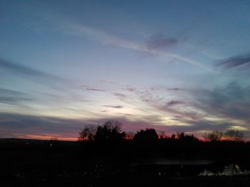 Silhouette of trees at sunset