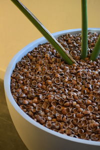 High angle view of coffee beans on table