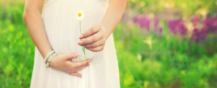 Midsection of woman holding flower