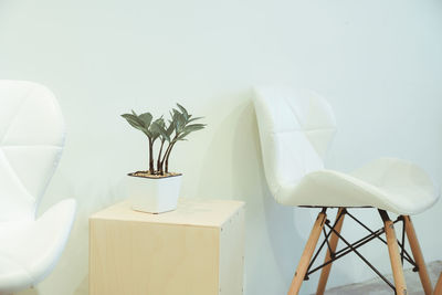 Potted plant on table against wall at home