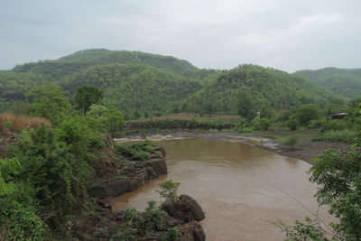 Scenic view of waterfall in forest against sky