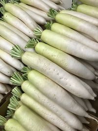 High angle view of radishes for sale in market